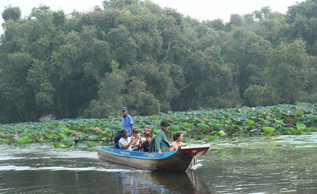 Hoang sơ rừng tràm Trà Sư ảnh 1